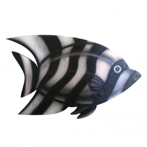 zebra-fish picture